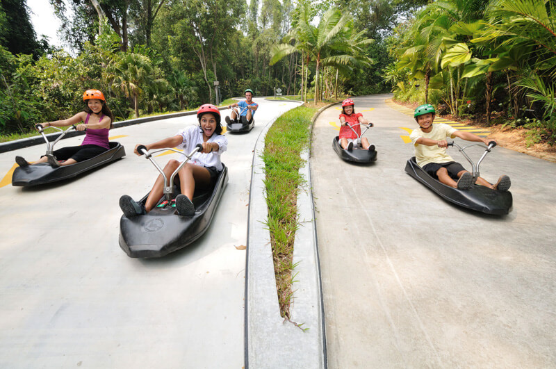 sentosa skyline luge