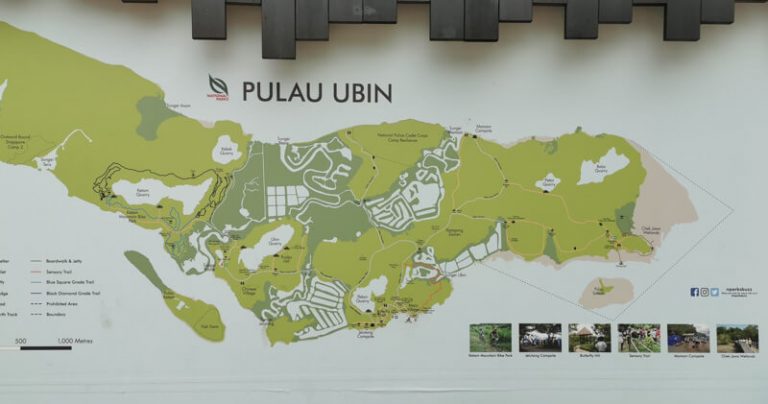 The Complete Guide For Exploring Pulau Ubin Singapore   Pulau Ubin Map 1 768x404 