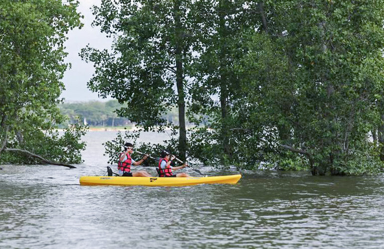 Pulau Ubin Kayaking