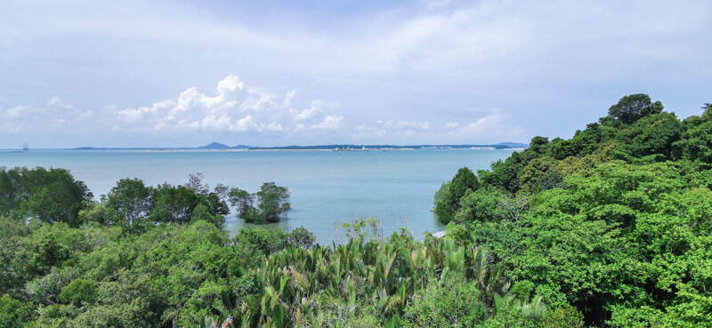 Jejawi Tower view, Chek Jawa