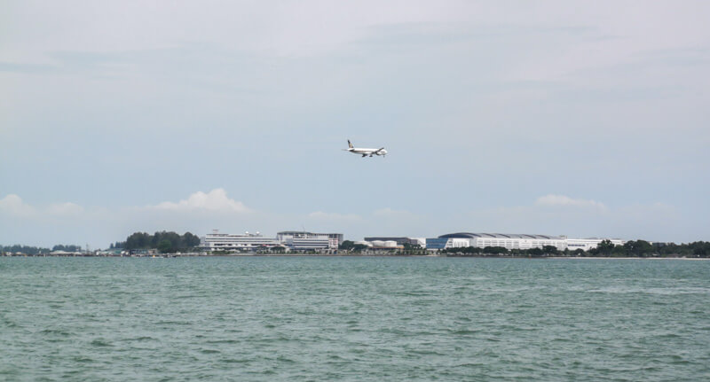 Chek Jawa Coastal Boardwalk