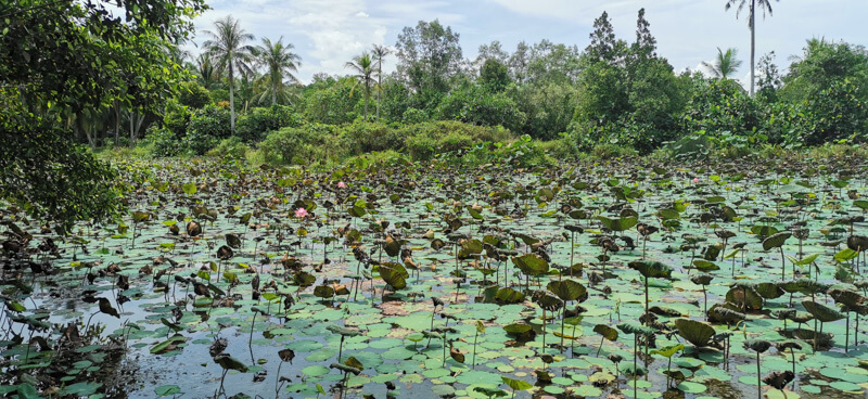 Sensory Trail Pond