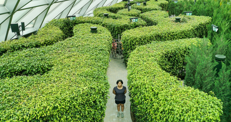 Hedge Maze - Jewel Canopy Park at Changi Airport Singapore