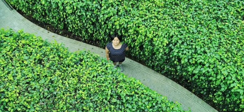 Hedge Maze - Jewel Canopy Park at Changi Airport Singapore