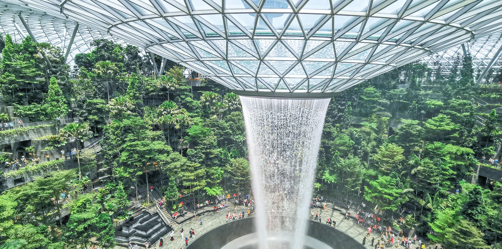 Singapore Parks And Gardens Fasci Garden
