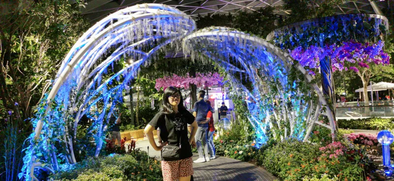 Night view - Jewel Canopy Park at Changi Airport Singapore