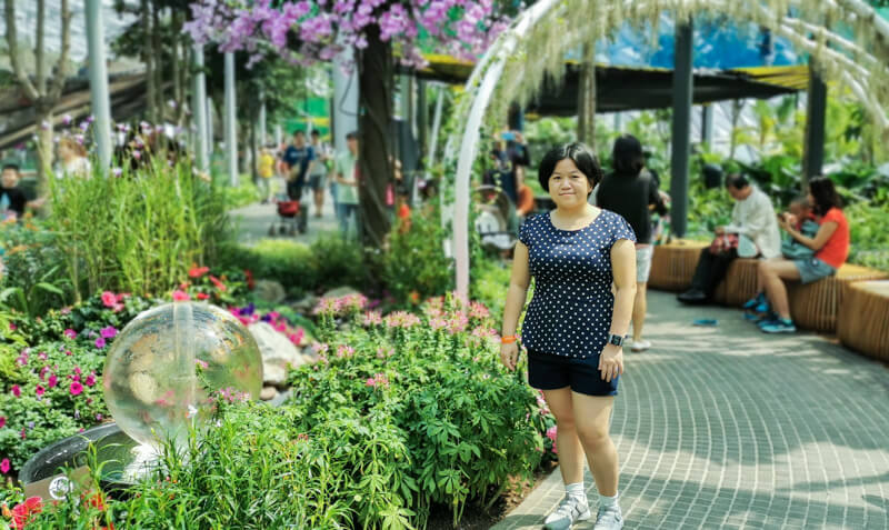 Petal Garden - Jewel Canopy Park at Changi Airport Singapore