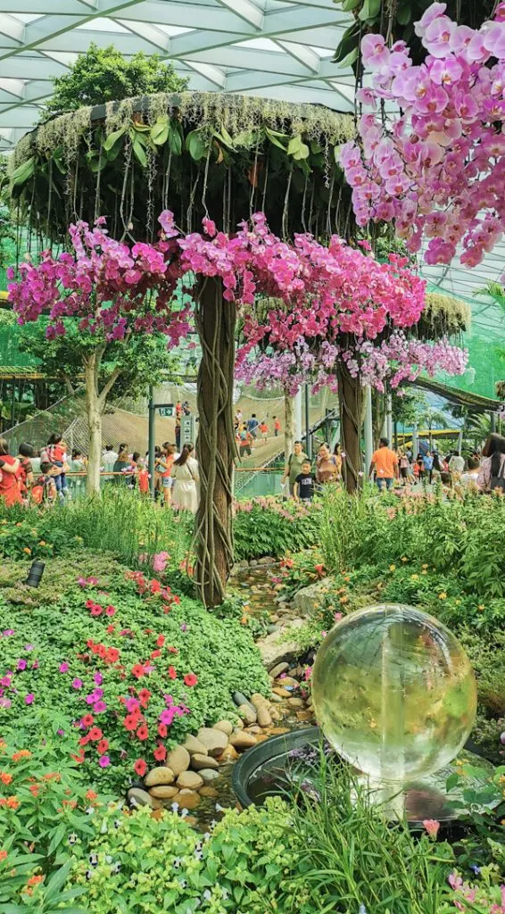 Petal Garden - Jewel Canopy Park at Changi Airport Singapore