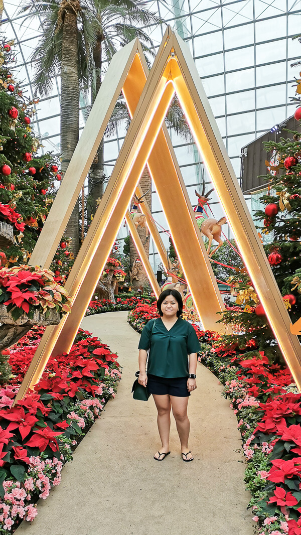 Christmas in Singapore - Flower Dome Gardens by the Bay