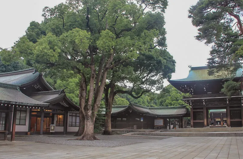 At Meiji Shrine, tokyo, japan