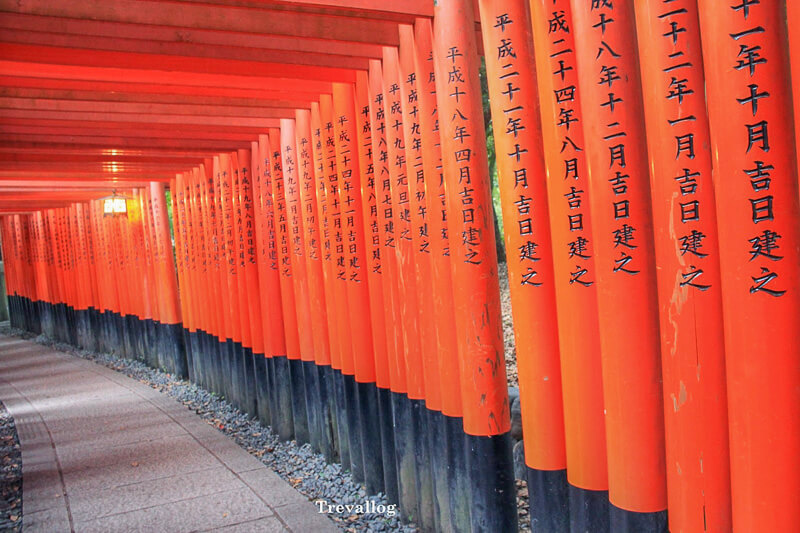 Row of torii gates in Fushimi Inari