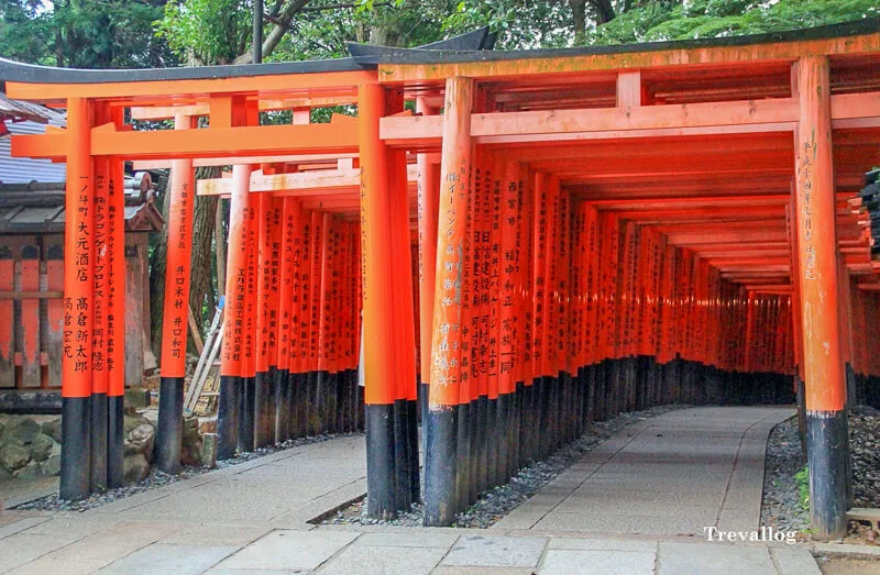Row of torii gates in Fushimi Inari