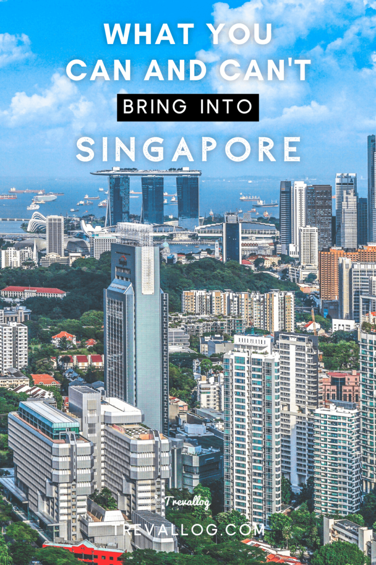 what-you-can-and-can-t-bring-into-singapore