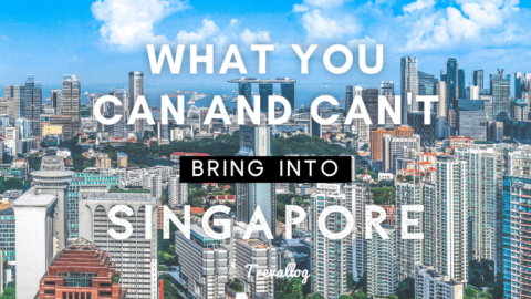 What You Can and Can’t Bring into Singapore