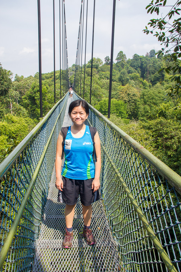 Running at TreeTop Walk MacRitchie Reservoir, Singapore