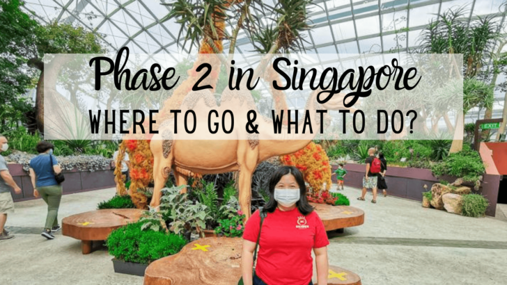 Phase 2 in Singapore: Where to Go and What to Do