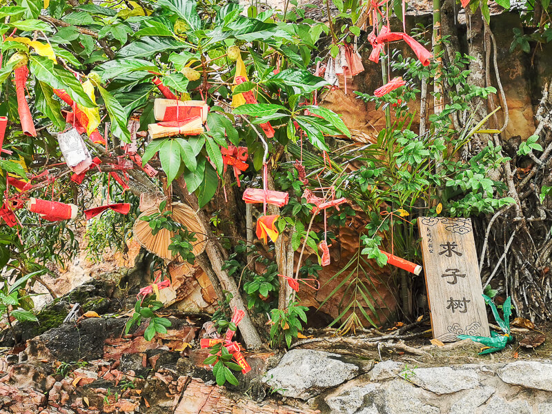 Kusu Island Annual Pilgrimage 2020 - Da Bo Gong Temple - Tua Pek Kong