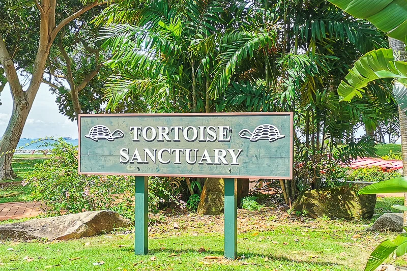 Kusu Island - Tortoise Sanctuary