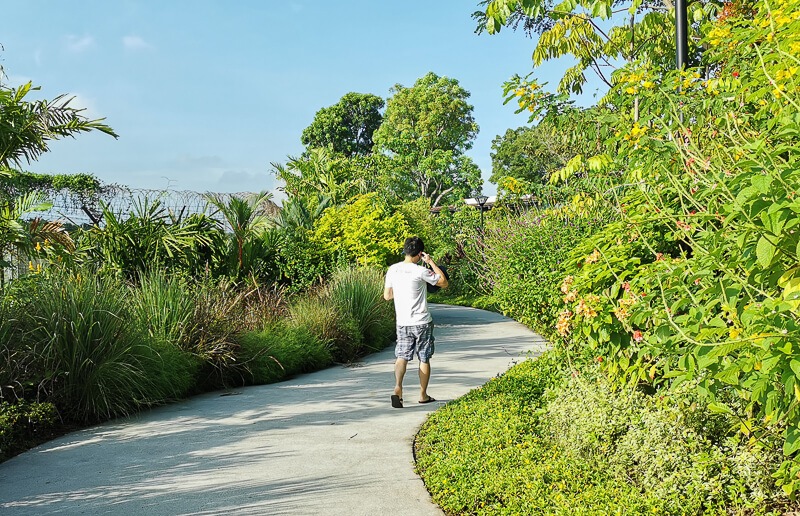 Sembawang Hot Sping Park - Floral Walk