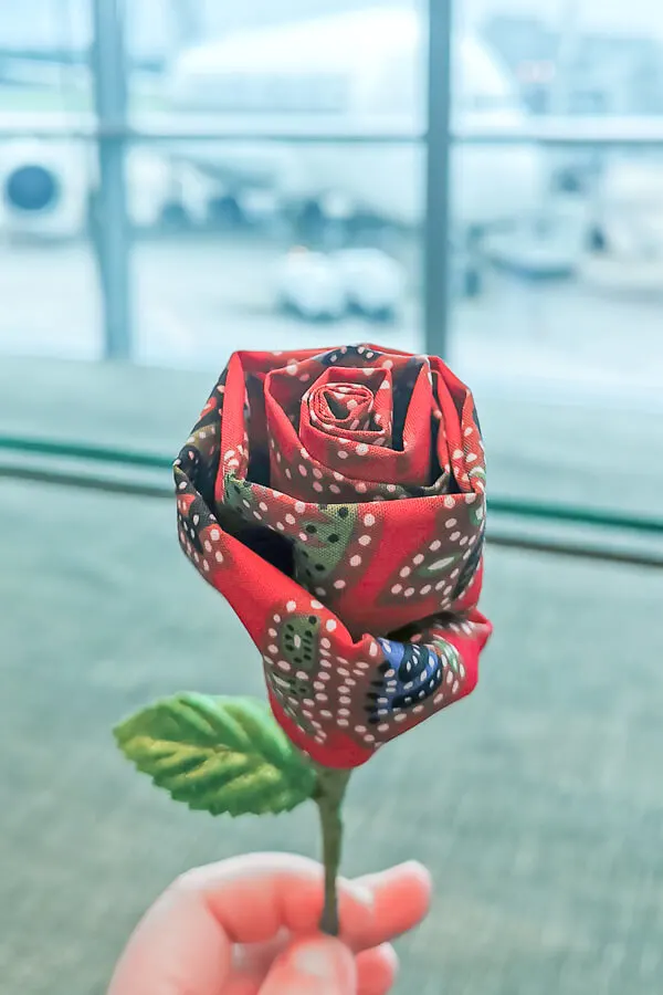 Batik Rose from Singapore Airline Restaurant A380 Changi - Economy Class