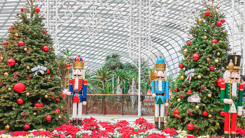 Christmas in Singapore 2020 - Flower Dome, Gardens by the Bay