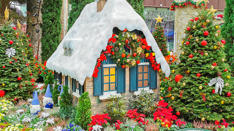 Christmas in Singapore 2020 - Flower Dome, Gardens by the Bay