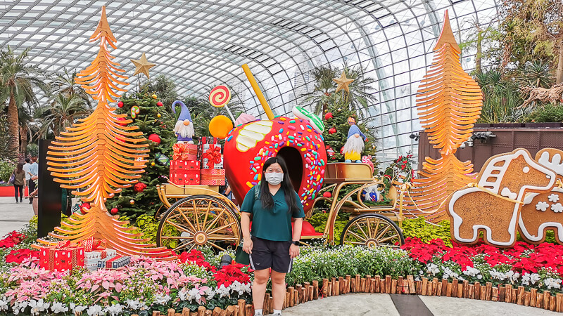 How to Spend Christmas in Singapore 2021 - Gardens by the Bay Flower Dome