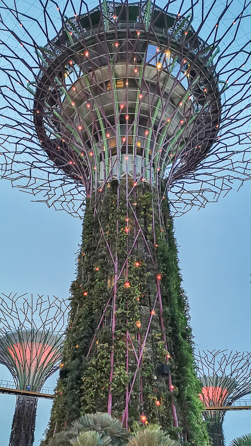 How to Spend Christmas in Singapore 2021 - Gardens by the Bay Christmas Wonderland