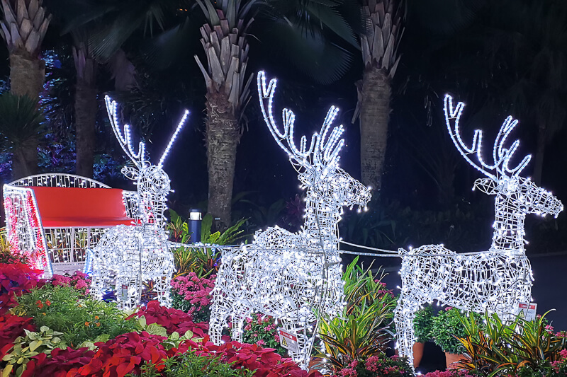 How to Spend Christmas in Singapore 2021 - Gardens by the Bay Christmas Wonderland