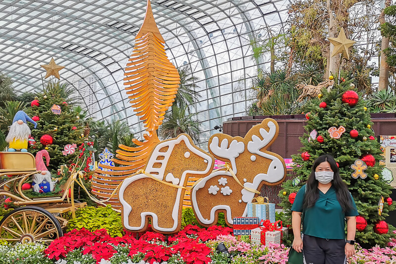 How to Spend Christmas in Singapore 2021 - Gardens by the Bay Flower Dome