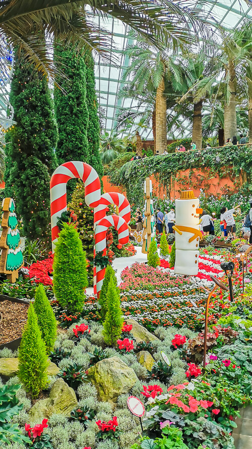 How to Spend Christmas in Singapore 2021 - Gardens by the Bay Flower Dome