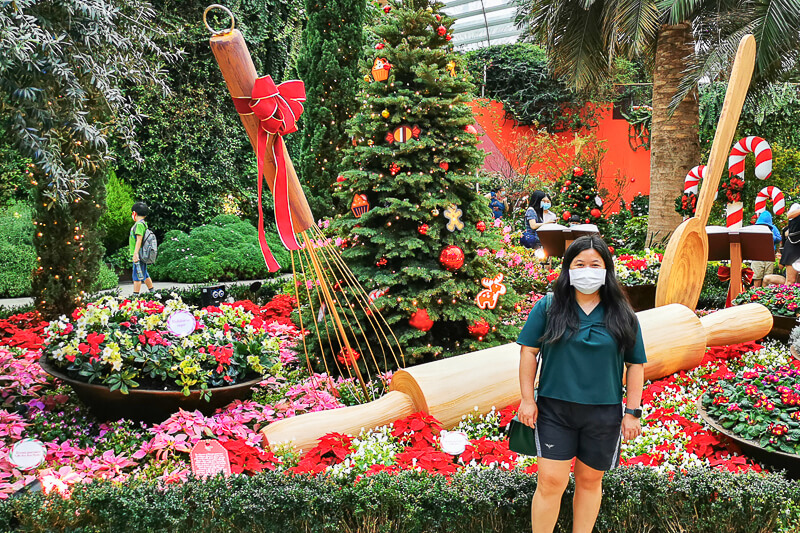 How to Spend Christmas in Singapore 2021 - Gardens by the Bay Flower Dome