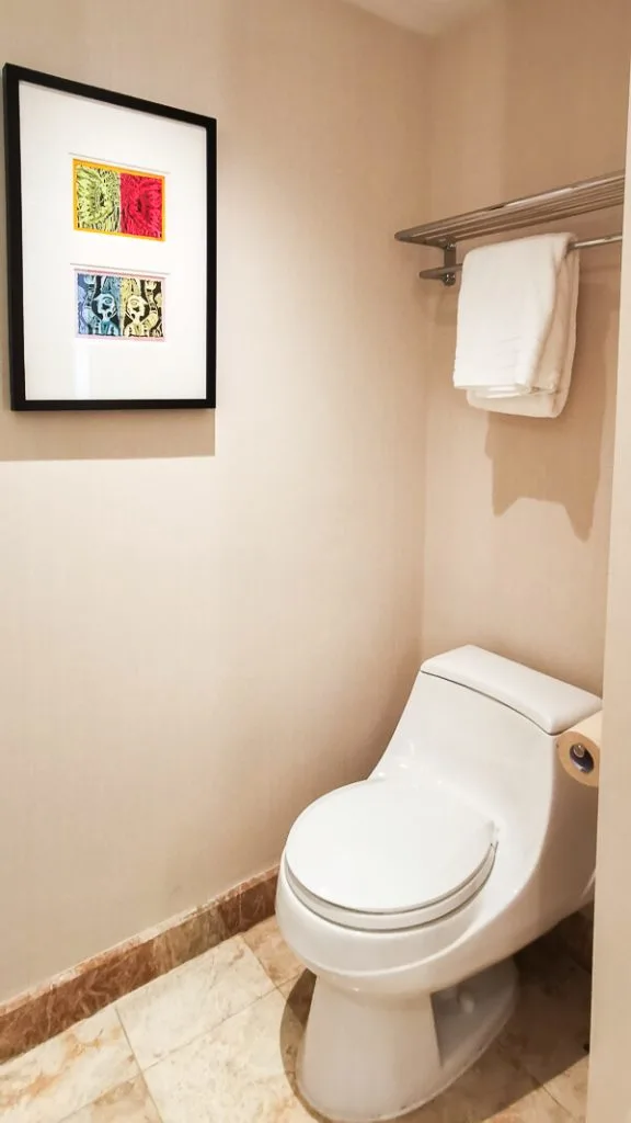 Conrad Centennial Singapore Review - Hidden toilet