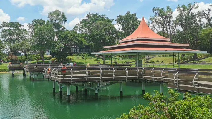 Detailed Guide to Visiting MacRitchie Reservoir