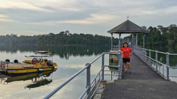 Visiting MacRitchie Reservoir: Everything You Need To Know