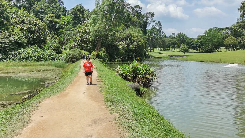 MacRitchie Reservoir - Suggested Route - Full Loop