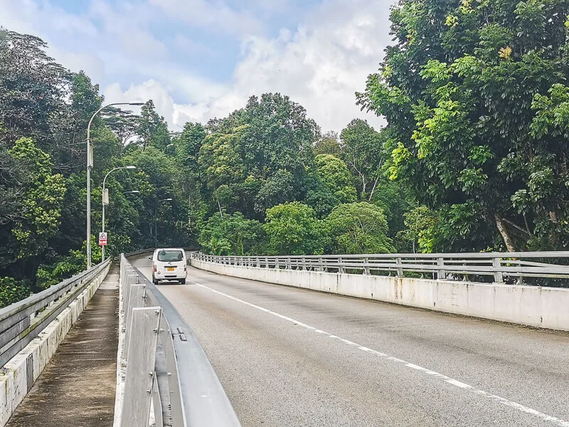 MacRitchie Reservoir - Suggested Route - MacRitchie Reservoir to Bukit Timah Nature Reserve - Rifle Range Road (1)