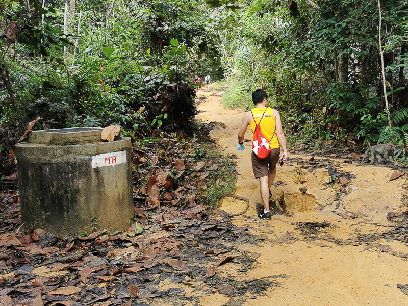 MacRitchie Reservoir - Suggested Route - MacRitchie Reservoir to Bukit Timah Nature Reserve - Rifle Range Trail