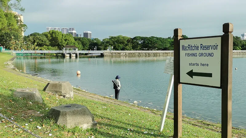 Things to do in MacRitchie Reservoir - Fishing Ground