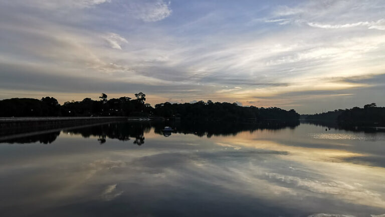 Visiting MacRitchie Reservoir: Everything You Need to Know - Trevallog