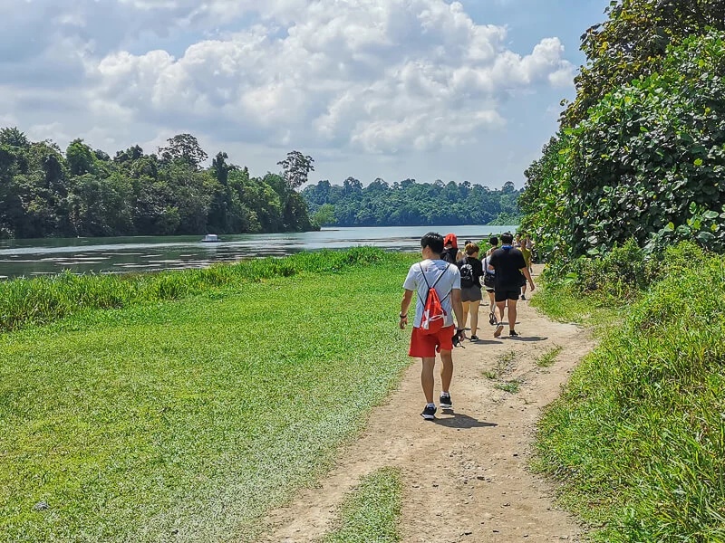 Things to do in MacRitchie Reservoir - 2a. Trekking or Hiking