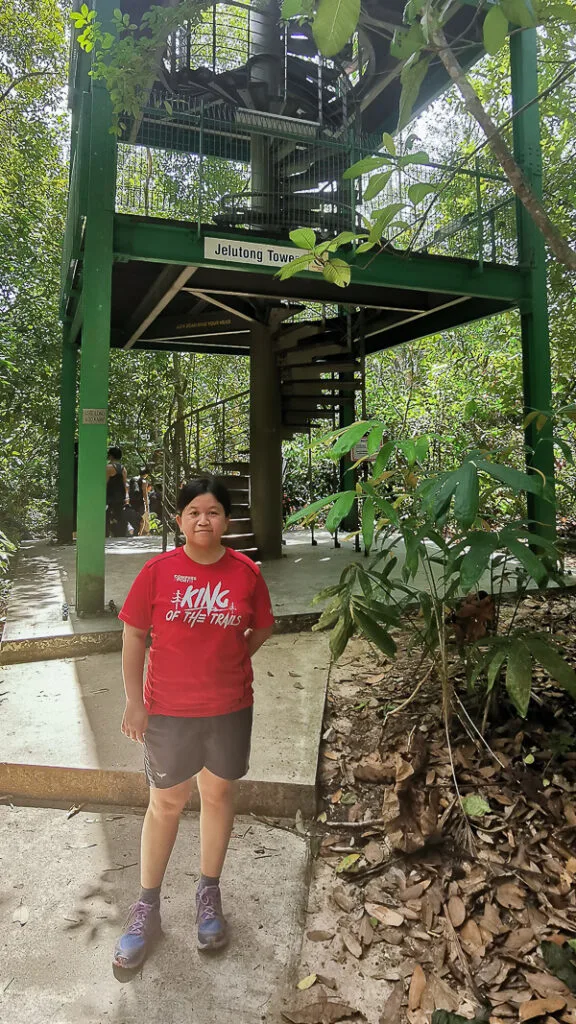 Things to do in MacRitchie Reservoir - 4a. Jelutong Tower