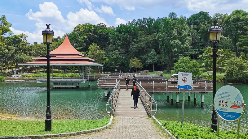 Things to do in MacRitchie Reservoir - 5a. Zigzag bridge
