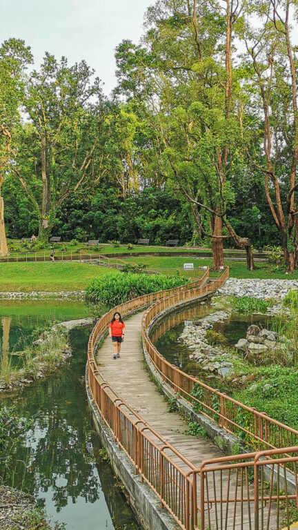 Visiting MacRitchie Reservoir: Everything You Need To Know - Trevallog