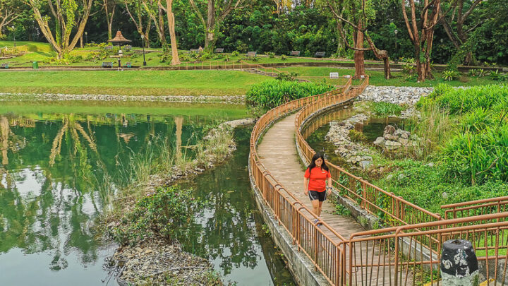 Visiting MacRitchie Reservoir: Everything You Need To Know - Trevallog