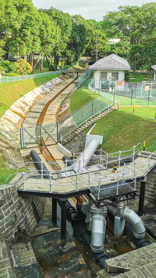 Visiting MacRitchie Reservoir Everything You Need to Know Trevallog