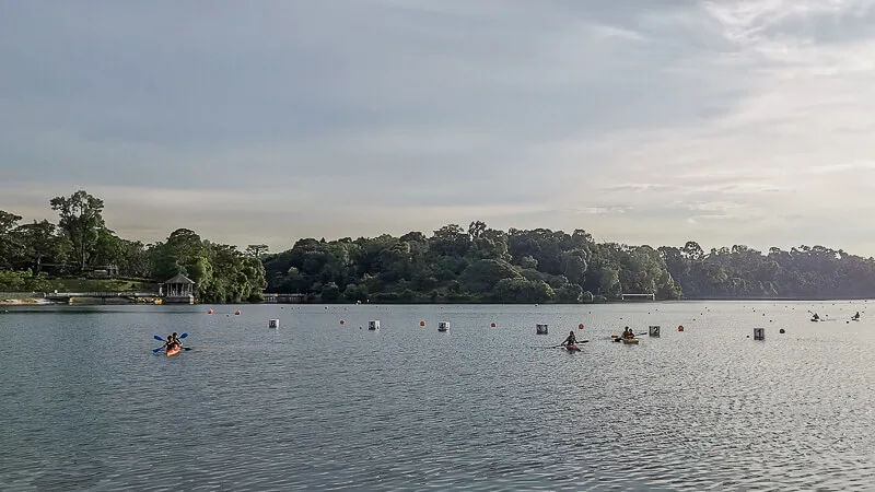 Things to do in MacRitchie Reservoir - Kayaking