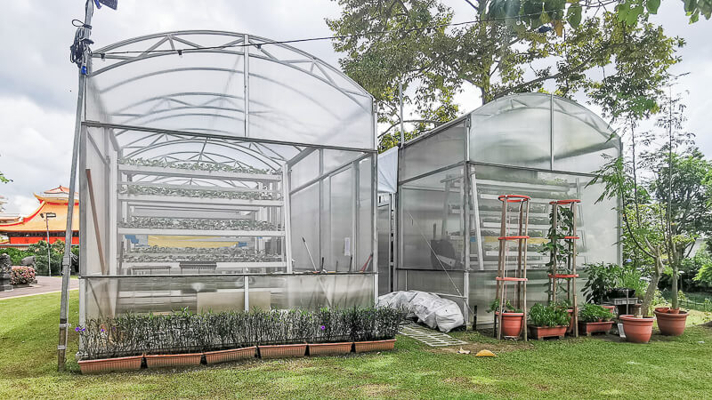 Kong Meng San Phor Kark See Singapore - Greenhouse