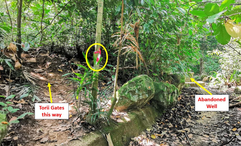 Bukit Batok Hillside Park - How to go to Torii Gates