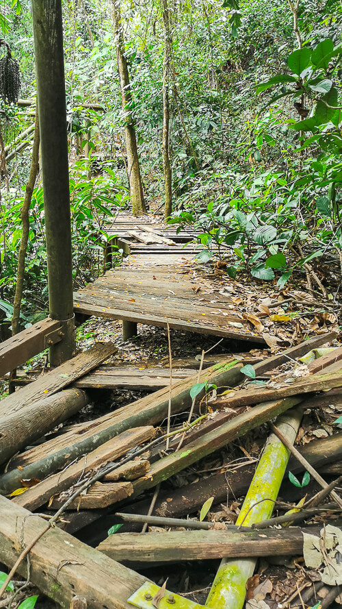 Guide to Inside of Bukit Batok Hillside Park